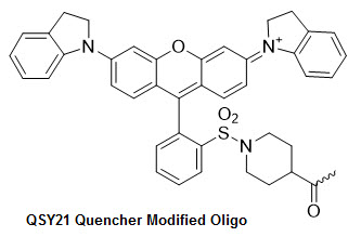 Bio-Synthesis Inc. Oligo Structure